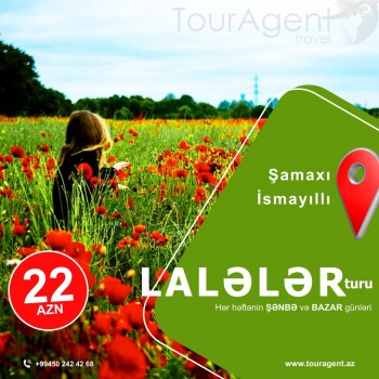 Şamaxi Ismayilli Lalələr turu