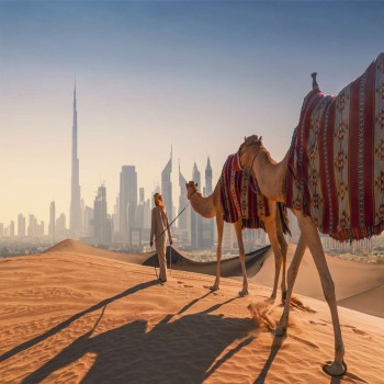 Affordable Dubai tour